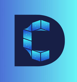 CapoDev services custom software solutions